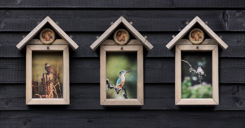 Vogelvoederhuisjes met decoratieve foto